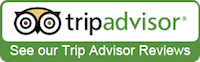 Il logo di Tripadvisor